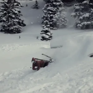 Raymond D'Noffrio 2011