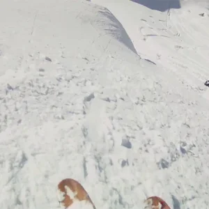 Season Review 2010/11 | Basti H. Self-Edit