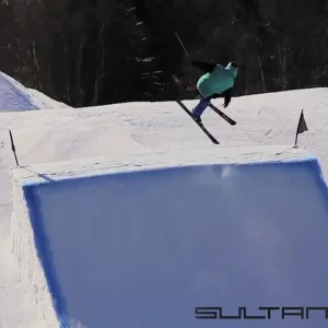 Vili Koskelainen 2010-2011