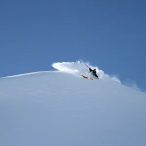 Pow Days