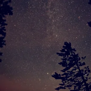 2KG Season 2011 teaser