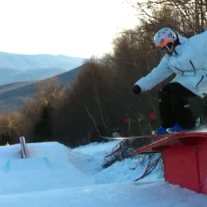 tailpressin