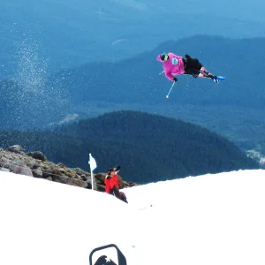 DTalk killin Windells Lane