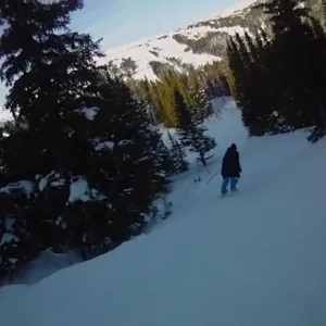 Little powder clip