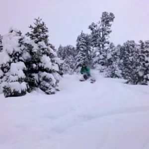 fresh pow...