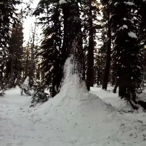 Hudson Knoll Self Edit