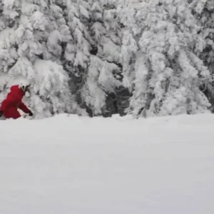 Day with nick and kevin