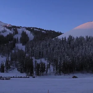 Skiing Pow Jumps, Park, and Trees
