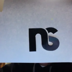 Ns cutout sticker