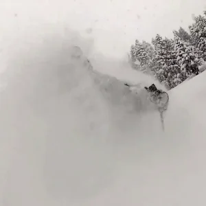 Europowder by Will Wesson