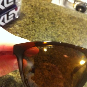 Polarized Bronze frog