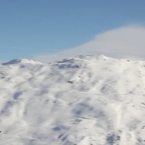 POW + PARK ALL WEEK!