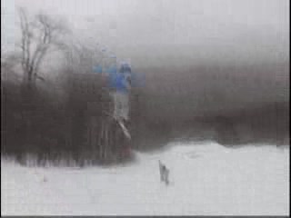 trailer for "to whok it  may concern"