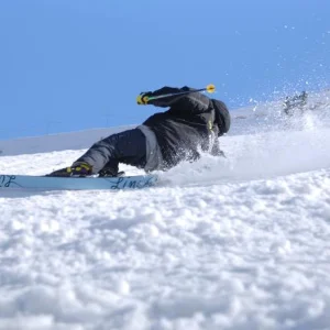 Carving out backseat to death