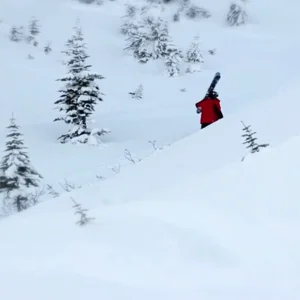 Kieran Nikula BSI Entry 5