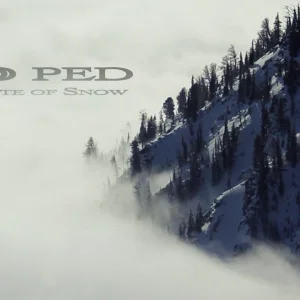 A Minute of Snow: Jackson Hole