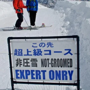 Expert's Onry