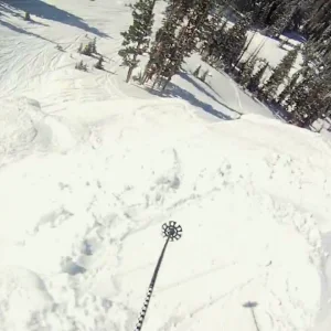 A Few Lines With Austin Lawrence