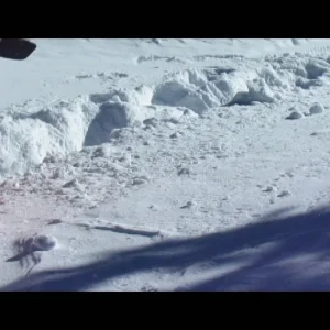 skylar dub back off bc cliff. rpg productions