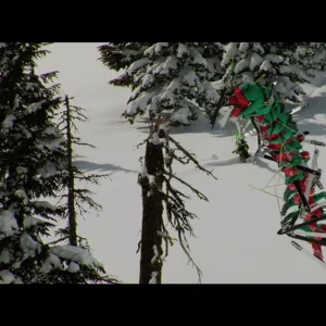 Recap iF3Tv - iF3 2008