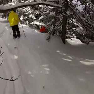 Sugarbush woods 3/10/12