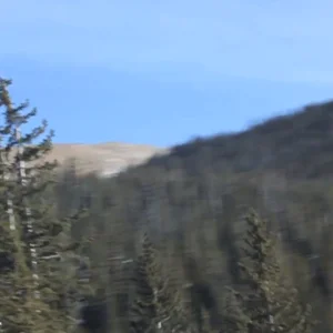 Keystone Shredit