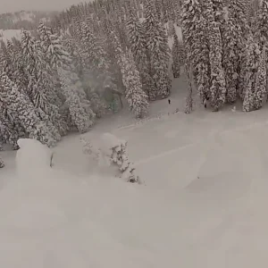 Snowbird Election Cliff