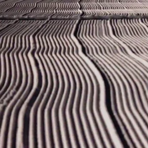 Park Edit from Russia