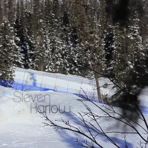 Steven Harlow Chosen Entry