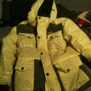 XL Bdog FS
