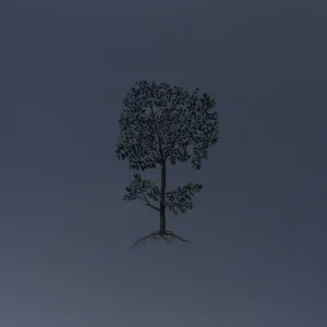 Winter Project - WORK