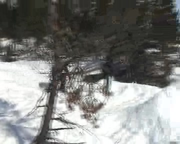 1st backflip gone pretty bad