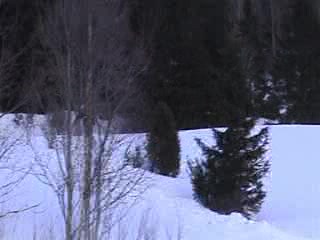 Jump over road gone bad