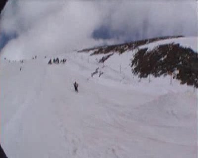 Candide disaster 270