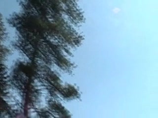 huge fuckin tree huck!!!