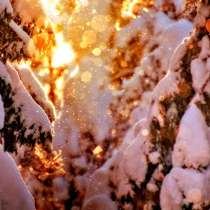 great day for a great ski