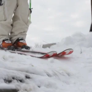 Westward Profile: Paul Passek