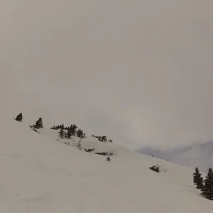 Why have your skis on the ground?