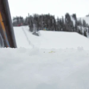 WSI - Top 5 slope qualifiers