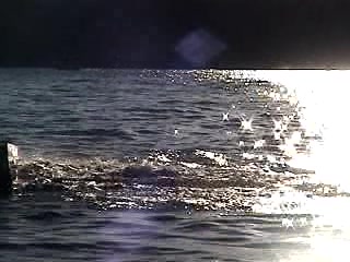 ding dang walla walla bing bang