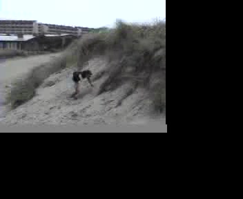 dune jumping
