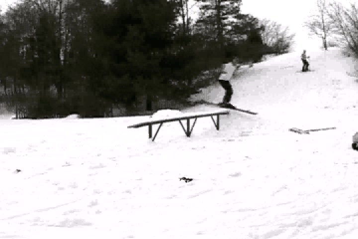 Backyard Rail Last Year