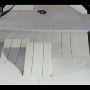 Wampler Season Edit RAW