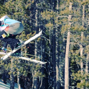 upper safety grab...?