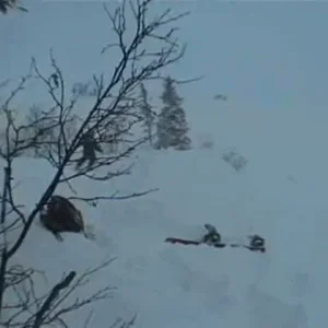 backcountry fresh powdah