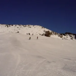 540 on Alta's biggest table!