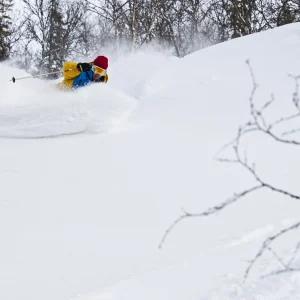 Pow In Sweden