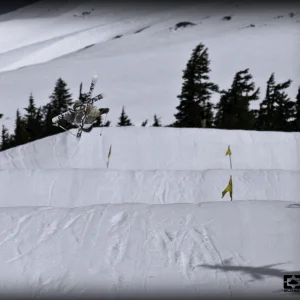 blunted cork 7 in Paintbrush