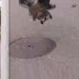 Skating....my first vid