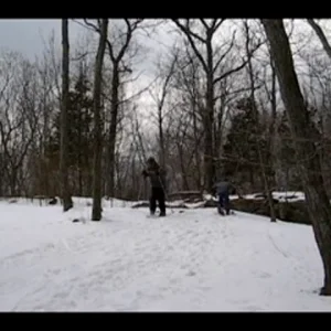 Messing Around in the Yard